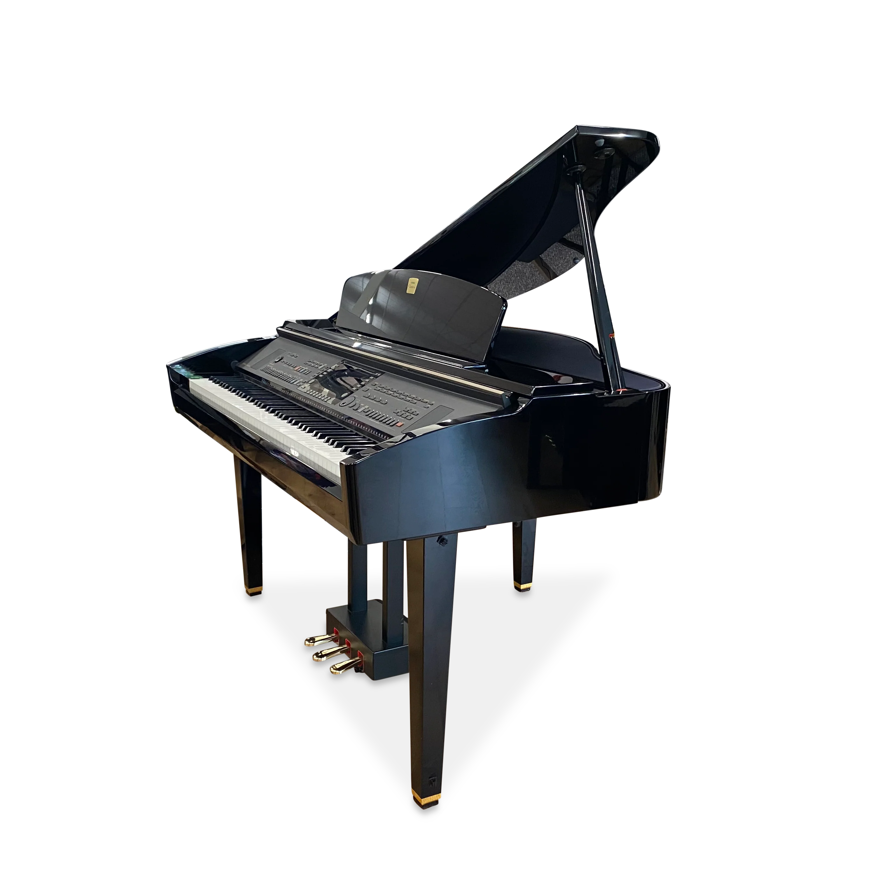 Miniatuur 1